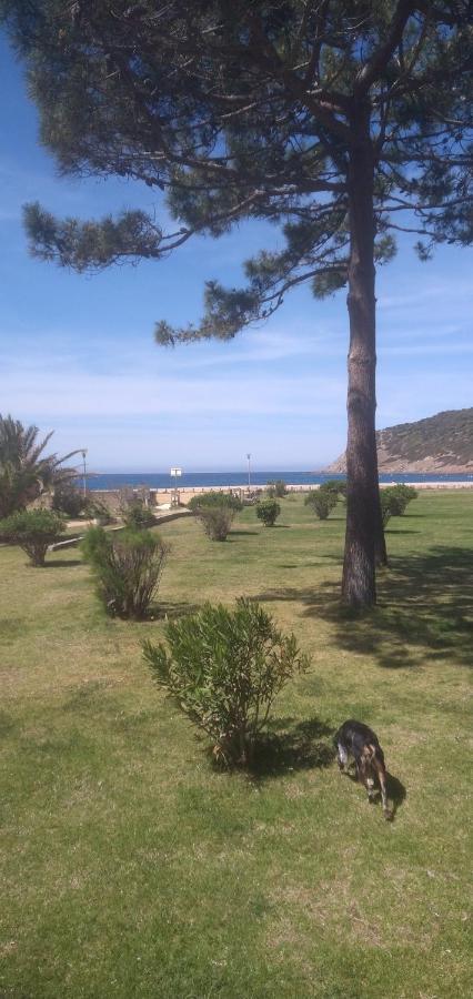 Maison De 4 De Front De Corse-du-sud Holiday home Appietto